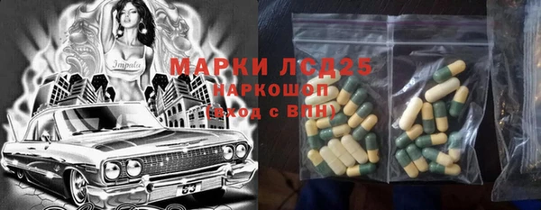 стаф Чита