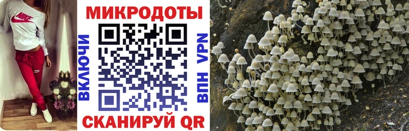 Галлюциногенные грибы мицелий  Купить закладки  Кузнецк 